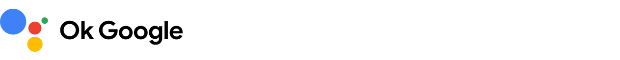 OK-Google.jpg